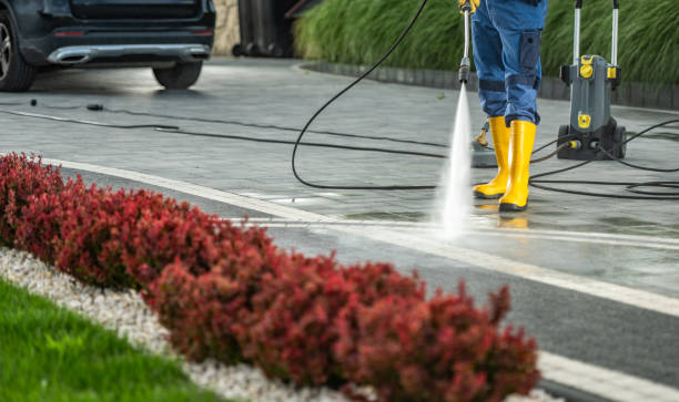 Best Soft Washing  in Hazelwood, MO